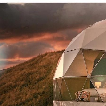 فيلا توردافي Caravans Park & Glamping Tents In The Vineyard المظهر الخارجي الصورة