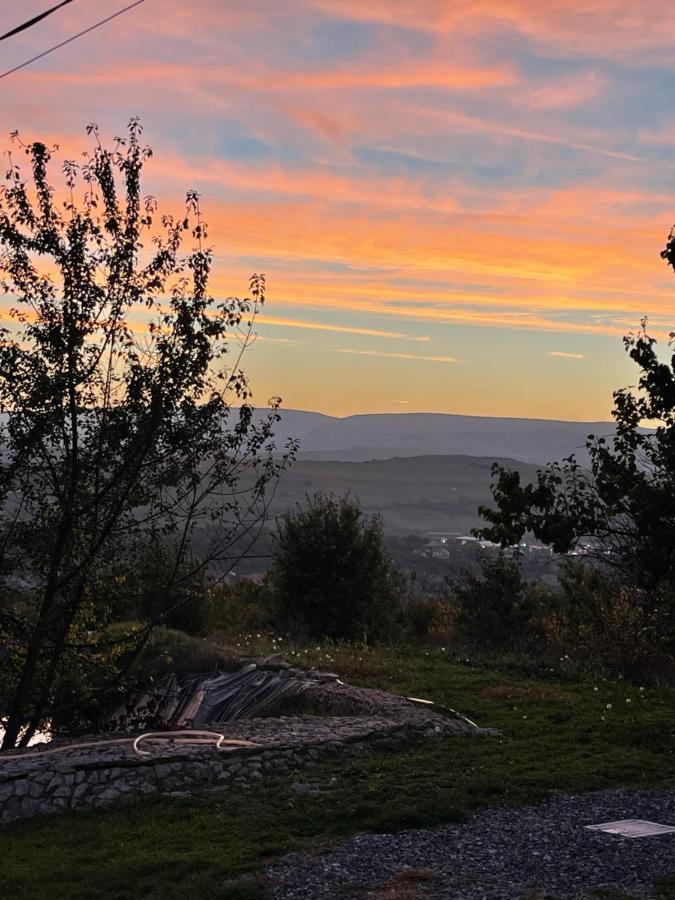 فيلا توردافي Caravans Park & Glamping Tents In The Vineyard المظهر الخارجي الصورة