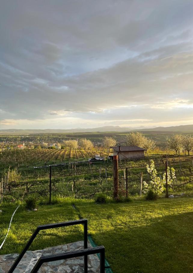 فيلا توردافي Caravans Park & Glamping Tents In The Vineyard المظهر الخارجي الصورة