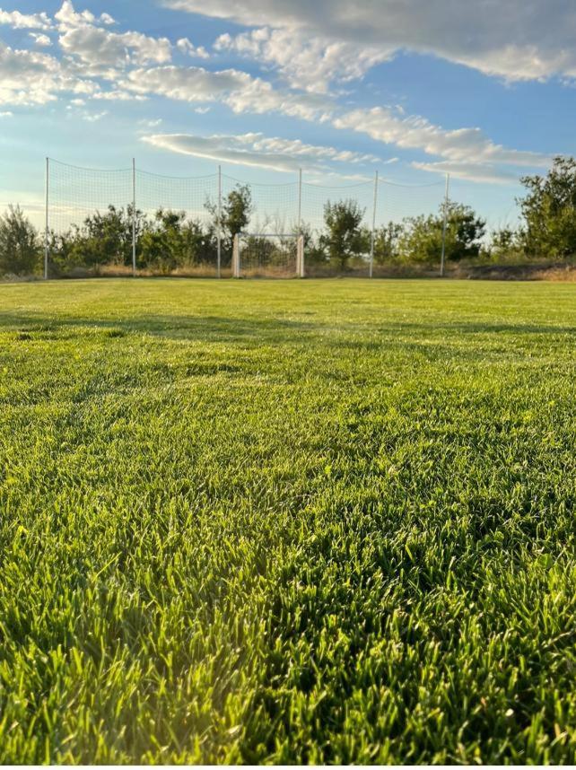 فيلا توردافي Caravans Park & Glamping Tents In The Vineyard المظهر الخارجي الصورة