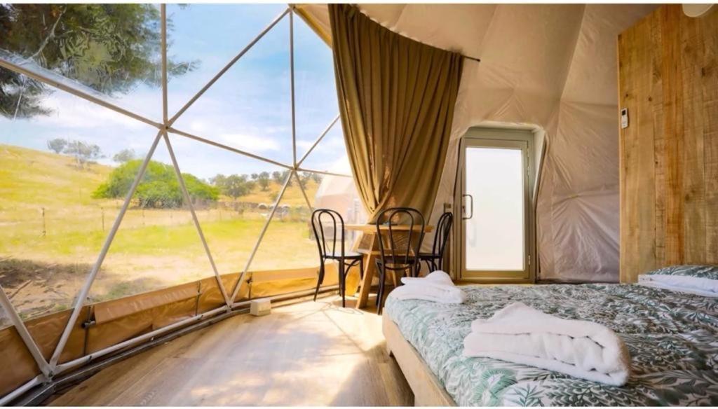 فيلا توردافي Caravans Park & Glamping Tents In The Vineyard المظهر الخارجي الصورة