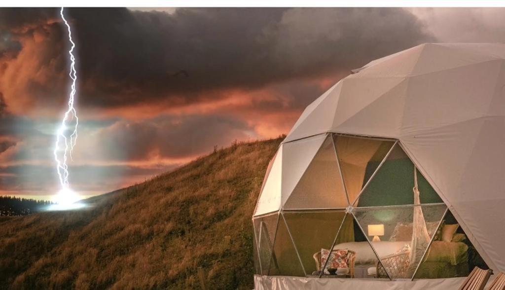 فيلا توردافي Caravans Park & Glamping Tents In The Vineyard المظهر الخارجي الصورة